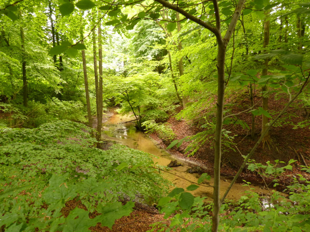 Luttercanyon in Quelle
