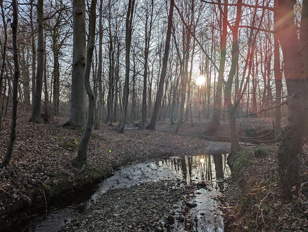 13 Bäche rund um Stieghorst, Sieker, Hillegossen